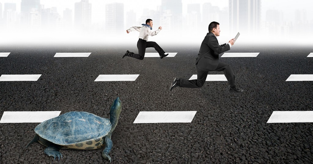 Family Business 101: Will Slow and Steady Really Win You the Race?